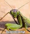 Нажмите на изображение для увеличения
Название: 1.jpg
Просмотров: 454
Размер:	77.8 Кб
ID:	2470418