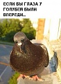 Нажмите на изображение для увеличения
Название: 7.jpg
Просмотров: 463
Размер:	112.5 Кб
ID:	2470424