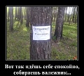 Нажмите на изображение для увеличения
Название: 1524303072_Vot-tak-idesh-sebe-s_demotions.ru.jpg
Просмотров: 500
Размер:	75.0 Кб
ID:	2483429
