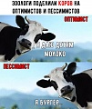 Нажмите на изображение для увеличения
Название: 5.jpg
Просмотров: 450
Размер:	94.4 Кб
ID:	2489130