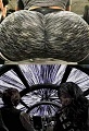 Нажмите на изображение для увеличения
Название: A55F9568-707B-40FE-A0A0-A6C2F81F3266.jpeg
Просмотров: 490
Размер:	190.8 Кб
ID:	2495778