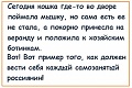 Нажмите на изображение для увеличения
Название: 1.jpg
Просмотров: 536
Размер:	70.3 Кб
ID:	2497529