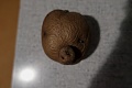 Нажмите на изображение для увеличения
Название: IMG_07330001.JPG
Просмотров: 429
Размер:	757.4 Кб
ID:	2500381