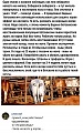 Нажмите на изображение для увеличения
Название: D9998A58-8069-49AF-91CA-C9E8C415A0E1.jpeg
Просмотров: 570
Размер:	246.5 Кб
ID:	2500639