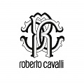 Нажмите на изображение для увеличения
Название: Logo-roberto-cavalli[1].jpg
Просмотров: 23
Размер:	143.3 Кб
ID:	2502453