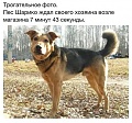 Нажмите на изображение для увеличения
Название: 658B2D58-D6B4-438D-B965-F629F6CF1A85.jpeg
Просмотров: 439
Размер:	66.4 Кб
ID:	2504135