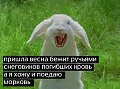Нажмите на изображение для увеличения
Название: 1EB27AE6-510F-4130-BC1C-2F98FABF4D63.jpeg
Просмотров: 535
Размер:	80.8 Кб
ID:	2510711