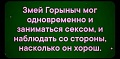 Нажмите на изображение для увеличения
Название: 34AE1D63-D4BD-47BD-A28F-FFAD52CCF6E6.jpeg
Просмотров: 436
Размер:	50.2 Кб
ID:	2516943