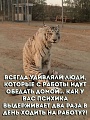 Нажмите на изображение для увеличения
Название: 2C4E2895-A3F1-4BB7-886A-3DC3CC1B8848.jpeg
Просмотров: 523
Размер:	251.1 Кб
ID:	2516948