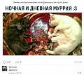 Нажмите на изображение для увеличения
Название: 20A7168F-8FB9-48CE-906D-F441333C7071.jpeg
Просмотров: 528
Размер:	115.9 Кб
ID:	2524942