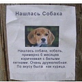 Нажмите на изображение для увеличения
Название: FD256183-487F-4A92-B883-5D5AFF69EFBF.jpeg
Просмотров: 569
Размер:	85.0 Кб
ID:	2525926