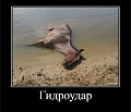 Нажмите на изображение для увеличения
Название: E0EC4F1C-C4C8-4AFF-83DF-83DA32440B52.jpeg
Просмотров: 490
Размер:	71.5 Кб
ID:	2544402