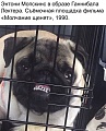 Нажмите на изображение для увеличения
Название: AD544451-1444-43BB-9A44-AC50C2A50094.jpeg
Просмотров: 468
Размер:	100.9 Кб
ID:	2549440