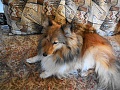 Нажмите на изображение для увеличения
Название: DSCN2429 (1)0001.JPG
Просмотров: 90
Размер:	1.46 Мб
ID:	2553590