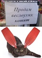 Нажмите на изображение для увеличения
Название: 5D5E0CF3-C190-4EBE-B06C-EC4325C879A8.jpeg
Просмотров: 394
Размер:	59.2 Кб
ID:	2557608