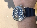 Нажмите на изображение для увеличения
Название: 78F33817-823A-45DE-9673-CC545DC70369.jpg
Просмотров: 229
Размер:	265.3 Кб
ID:	2558173