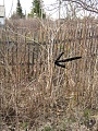 Нажмите на изображение для увеличения
Название: IMG_4453.jpg
Просмотров: 116
Размер:	875.4 Кб
ID:	2568804