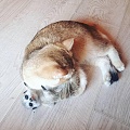 Нажмите на изображение для увеличения
Название: IMG-20190505-WA0000.jpg
Просмотров: 444
Размер:	121.6 Кб
ID:	2571512