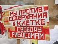 Нажмите на изображение для увеличения
Название: 2.jpg
Просмотров: 391
Размер:	37.2 Кб
ID:	2588910