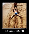 Нажмите на изображение для увеличения
Название: demotivatorium_ru_al_fasamec_110876.jpg
Просмотров: 623
Размер:	157.9 Кб
ID:	2594988