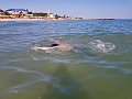 Нажмите на изображение для увеличения
Название: 868BA79C-C133-4628-BDB0-1E945D61419B.jpg
Просмотров: 152
Размер:	420.1 Кб
ID:	2595409