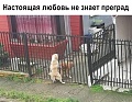 Нажмите на изображение для увеличения
Название: 3.jpg
Просмотров: 557
Размер:	119.7 Кб
ID:	2601522