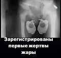 Нажмите на изображение для увеличения
Название: 981692F5-813C-4E5B-A2B7-C05010643E26.jpeg
Просмотров: 521
Размер:	52.7 Кб
ID:	2607837