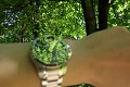 Нажмите на изображение для увеличения
Название: IMG_12260005.JPG
Просмотров: 285
Размер:	1.03 Мб
ID:	2609130
