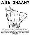Нажмите на изображение для увеличения
Название: 1.jpg
Просмотров: 638
Размер:	73.9 Кб
ID:	2609746