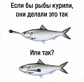 Нажмите на изображение для увеличения
Название: 98A20681-FC1F-4A4F-820E-3AC905058C15.jpeg
Просмотров: 499
Размер:	57.2 Кб
ID:	2617997