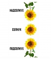 Нажмите на изображение для увеличения
Название: 9981C34E-E81C-4D87-A1DD-C120A7AE7061.jpeg
Просмотров: 574
Размер:	46.8 Кб
ID:	2619632