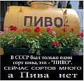Нажмите на изображение для увеличения
Название: B08F8B35-EDD0-4340-A080-711979625E56.jpeg
Просмотров: 607
Размер:	109.5 Кб
ID:	2625838