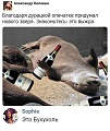 Нажмите на изображение для увеличения
Название: 19406404-901F-47CA-89B1-180BA6F32C30.jpeg
Просмотров: 561
Размер:	48.5 Кб
ID:	2641620