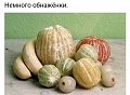 Нажмите на изображение для увеличения
Название: 8E2C6D8C-09F0-4848-A1EB-D577F2FFD98E.jpeg
Просмотров: 537
Размер:	66.6 Кб
ID:	2641926