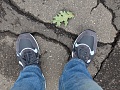 Нажмите на изображение для увеличения
Название: IMG_13850002.JPG
Просмотров: 369
Размер:	1.48 Мб
ID:	2644769