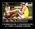Нажмите на изображение для увеличения
Название: h-10683.jpg
Просмотров: 427
Размер:	93.2 Кб
ID:	2653718