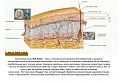 Нажмите на изображение для увеличения
Название: 999.jpg
Просмотров: 239
Размер:	149.7 Кб
ID:	2656443