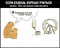 Нажмите на изображение для увеличения
Название: 775F8E6F-61AB-4432-82E0-F8CADE308DCA.jpeg
Просмотров: 655
Размер:	77.2 Кб
ID:	2659408