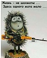 Нажмите на изображение для увеличения
Название: 57C47B43-7BDC-4442-A90E-3024942899B7.jpeg
Просмотров: 530
Размер:	70.1 Кб
ID:	2660850