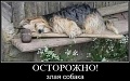 Нажмите на изображение для увеличения
Название: h-95.jpg
Просмотров: 447
Размер:	38.3 Кб
ID:	2666187