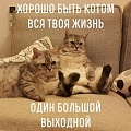Нажмите на изображение для увеличения
Название: h-219291.jpg
Просмотров: 579
Размер:	71.9 Кб
ID:	2678615