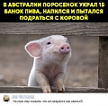 Нажмите на изображение для увеличения
Название: h-219382.jpg
Просмотров: 565
Размер:	226.0 Кб
ID:	2678618