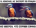 Нажмите на изображение для увеличения
Название: 10.jpg
Просмотров: 606
Размер:	56.0 Кб
ID:	2687901