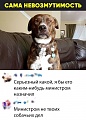 Нажмите на изображение для увеличения
Название: h-219987.jpg
Просмотров: 572
Размер:	159.6 Кб
ID:	2688663