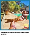 Нажмите на изображение для увеличения
Название: h-10900.jpg
Просмотров: 571
Размер:	96.0 Кб
ID:	2688665