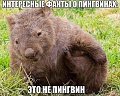 Нажмите на изображение для увеличения
Название: A8F3E573-9051-4572-9D50-75C48F192AF7.jpeg
Просмотров: 531
Размер:	165.1 Кб
ID:	2695126