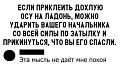 Нажмите на изображение для увеличения
Название: 13418958.jpg
Просмотров: 516
Размер:	52.5 Кб
ID:	2697717