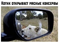 Нажмите на изображение для увеличения
Название: 59D9B73E-1C5C-4B6A-ACDE-C66014D9DAC0.jpeg
Просмотров: 612
Размер:	70.7 Кб
ID:	2702688