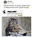 Нажмите на изображение для увеличения
Название: GroupMe_2019914_12185.jpeg
Просмотров: 650
Размер:	89.2 Кб
ID:	2704005