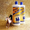 Нажмите на изображение для увеличения
Название: Slider_1_-_Mane__N_Tail_Is_The_Best_Horse_Shampoo_For_Humans.jpeg
Просмотров: 412
Размер:	370.8 Кб
ID:	2707962